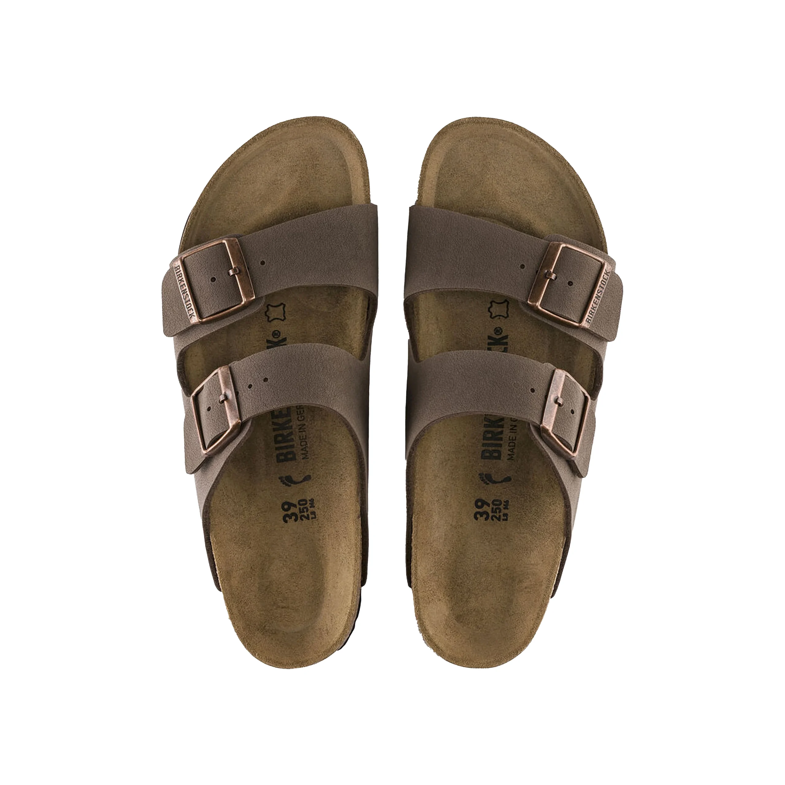 ARIZONA BFBC MOCCA – Image 3