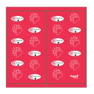 Buff multifonctionnel - Grizzlies