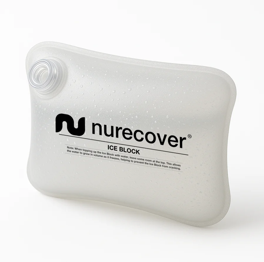 Briques de glace - paquet de 3